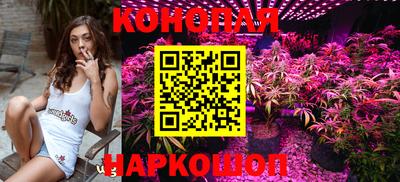 гашик Жуковский