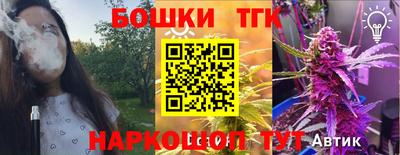 гашик Жуковский