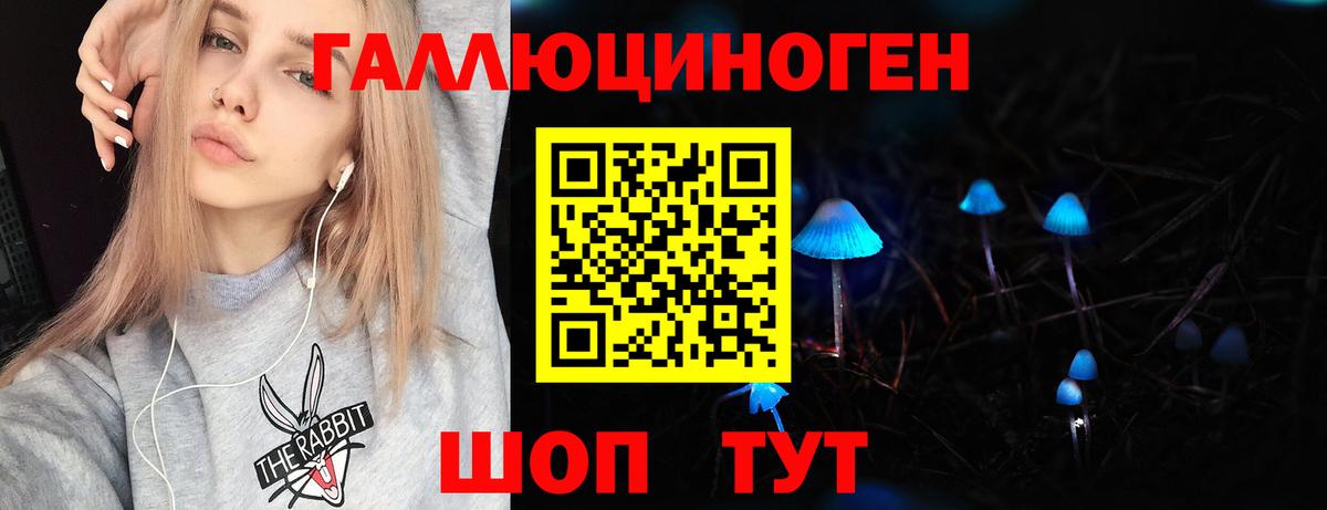 Галлюциногенные грибы Cubensis  Галлюциногенные грибы Cubensis  Вход с VPN  Минусинск 
